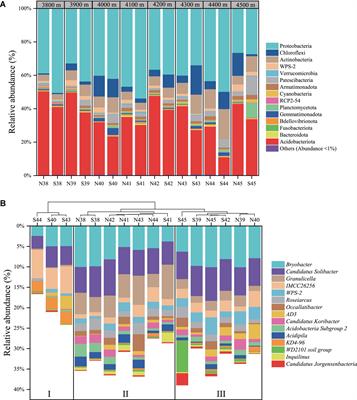 Changes in Alpine Soil Bacterial Communities With Altitude and Slopes at Mount Shergyla, Tibetan Plateau: Diversity, Structure, and Influencing Factors